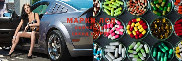 шишки Балахна