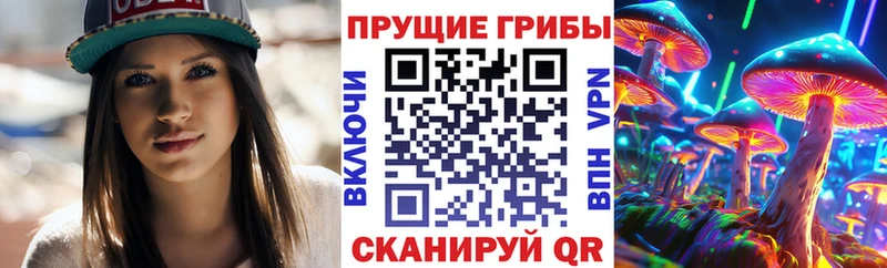 Псилоцибиновые грибы Psilocybe дарнет шоп Лесной